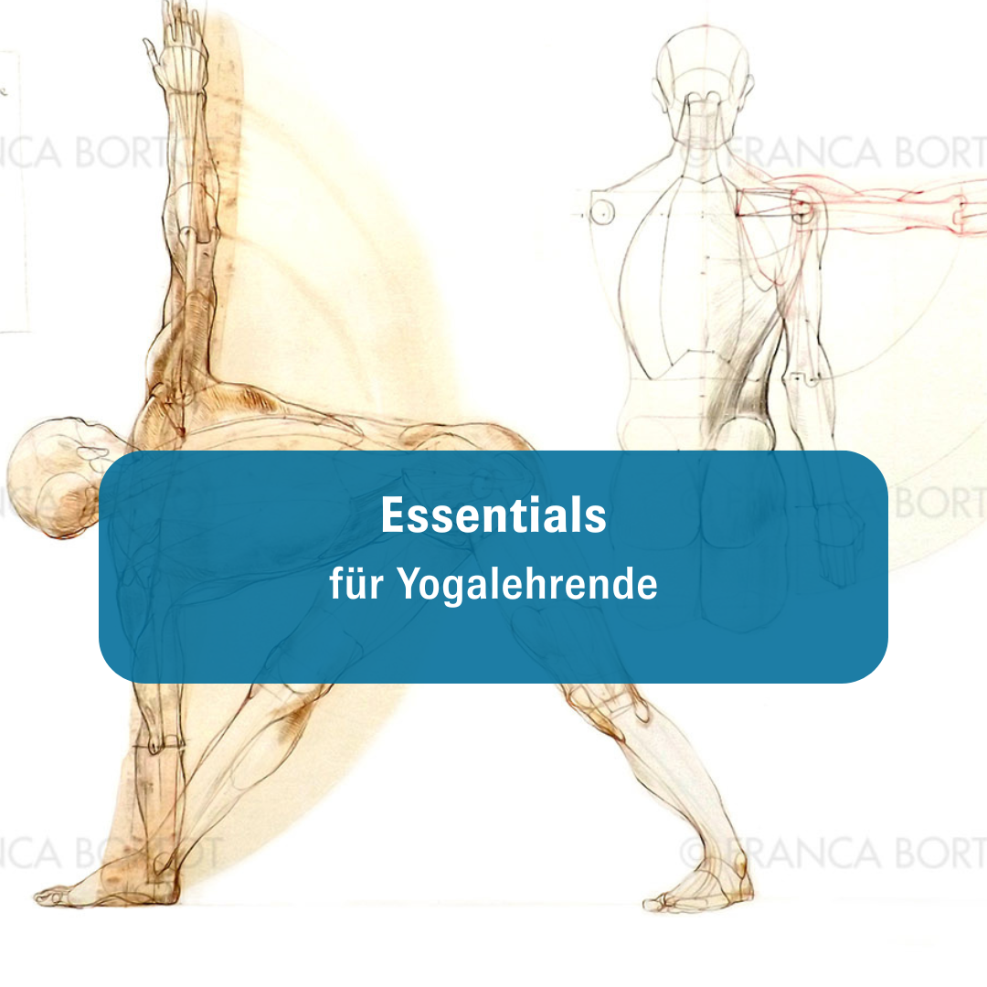 Wöchentliche Inspiration, Updates und fachliche Qualifikation für Yogalehrende