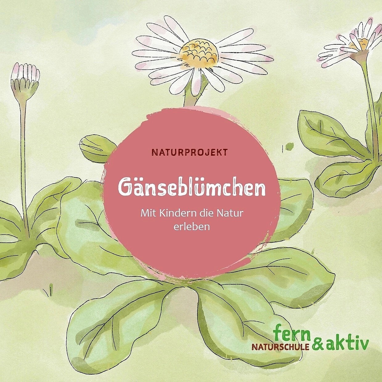Gänseblümchen Cover-1240x1240.jpg