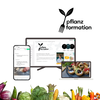 Pflanzformation Kochen Mel John Sussmann