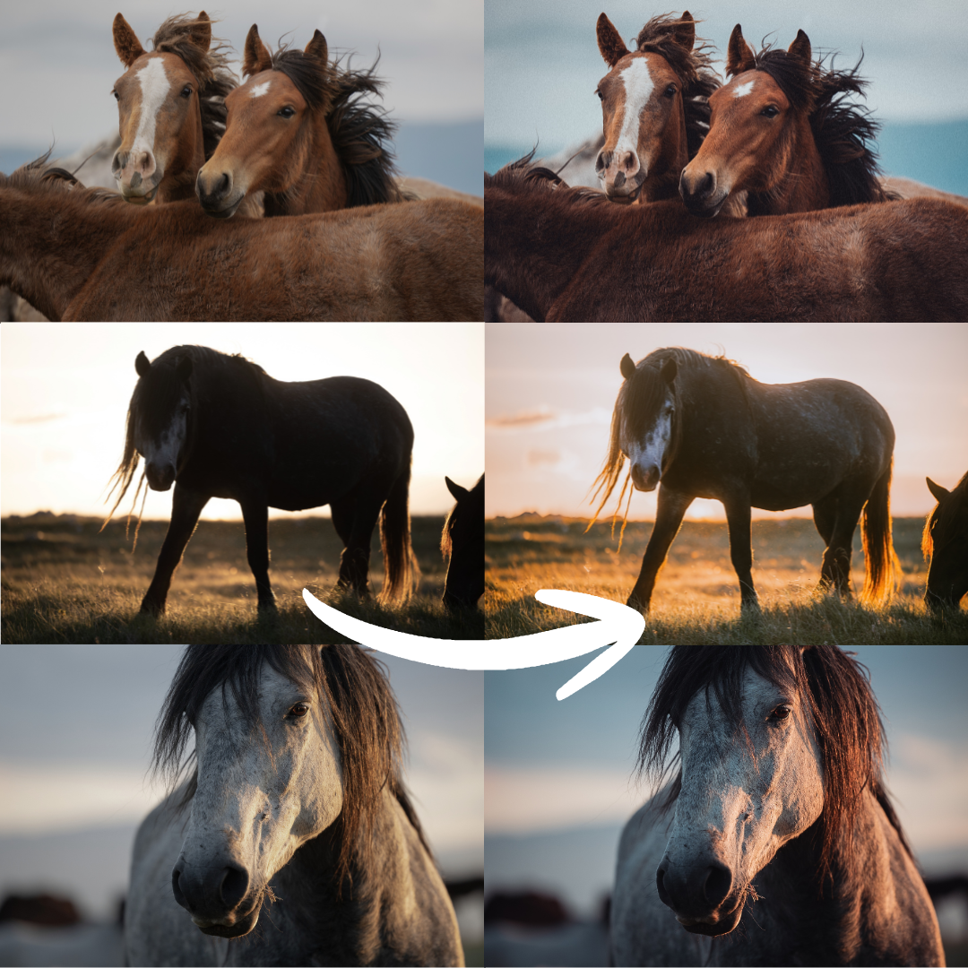 Finde-deinen-Farblook-in-Lightroom-1080x1080.png