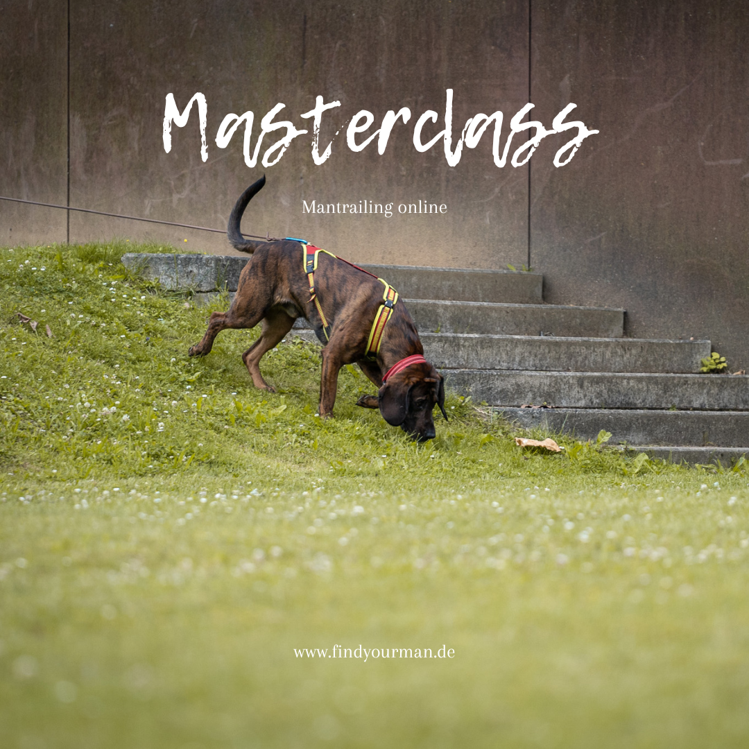 Masterclass (Instagram Post)-1080x1080.png