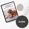 Mockup für Schonkost-Guide