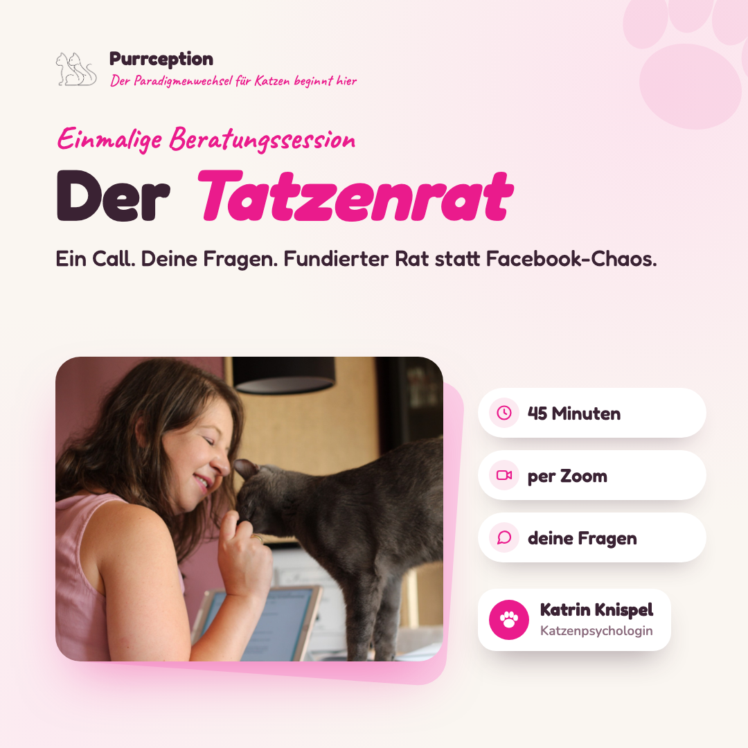 Tatzenrat_Produktbild_1080x1080-1080x1080.png