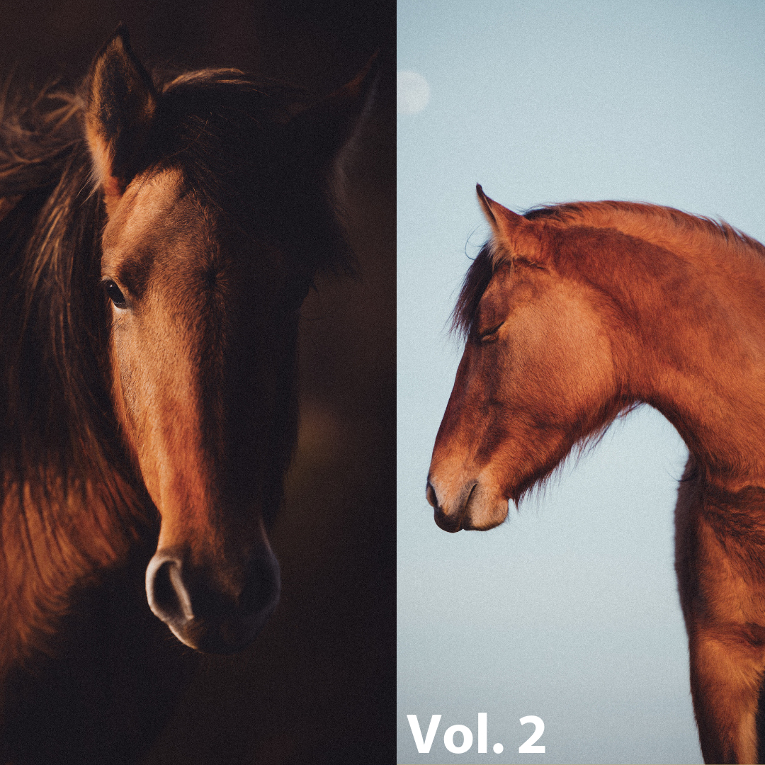 LR presets Vol 2-1080x1080.png