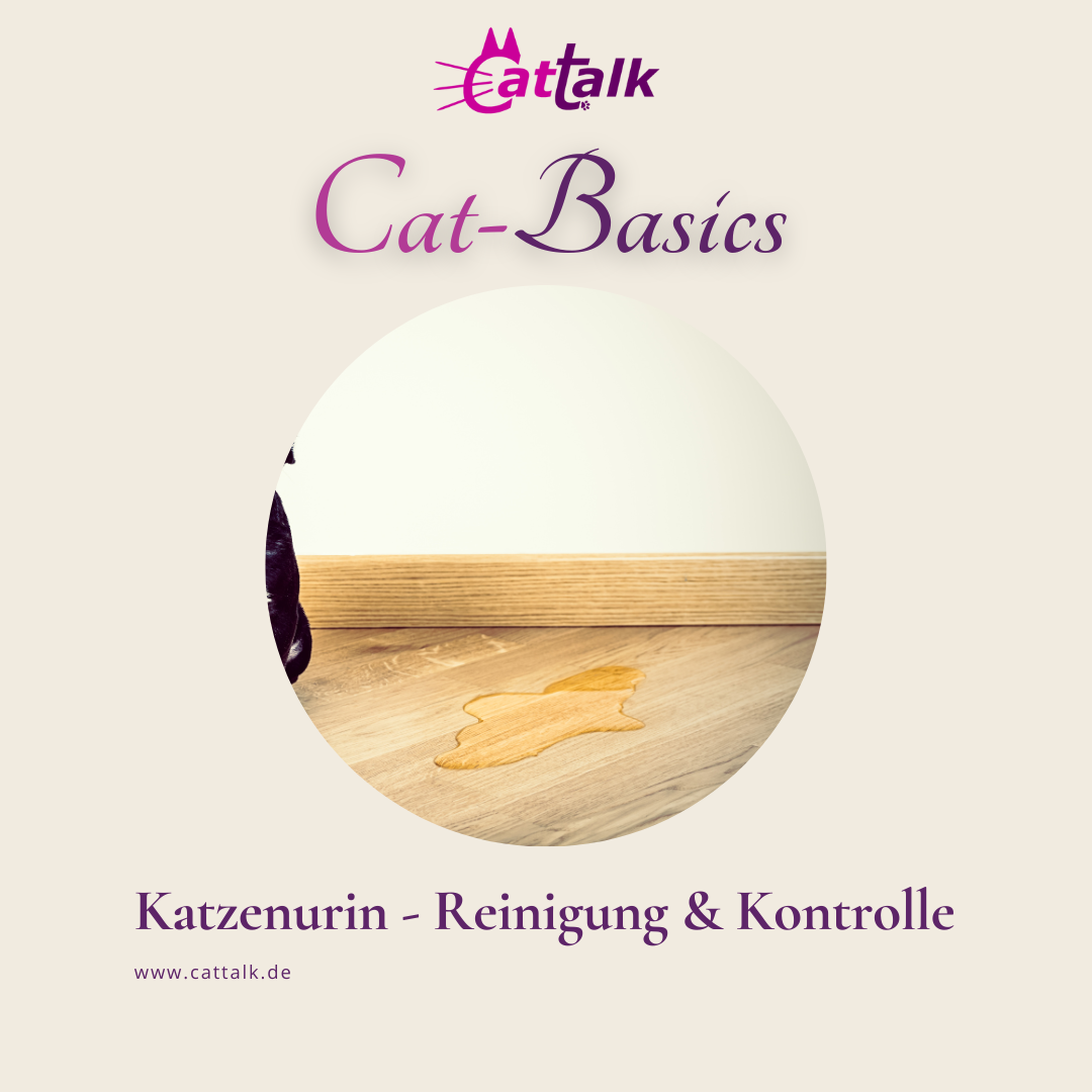 Produktbild Pipireinigung