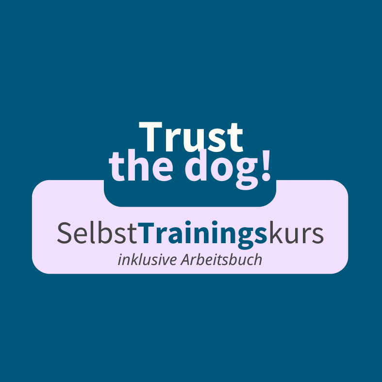 Selbstlernkurs 1.0 -37-787x787.png