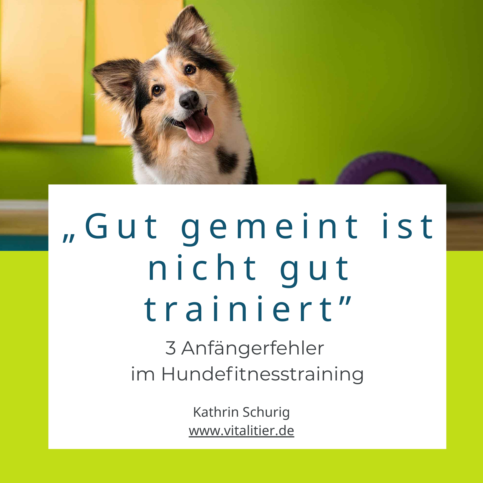 Ebook II Lead Magnet-1545x1545.png