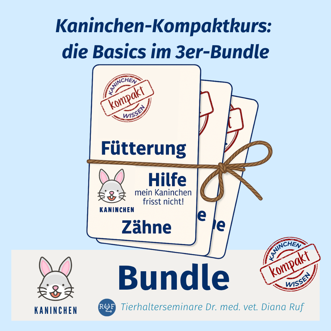 kompakt bundle (1)-1080x1080.png