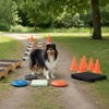 Cavaletti in aller Munde
