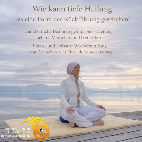 Webinar 7 Aktivierung zur Selbstheilung -481x481.png