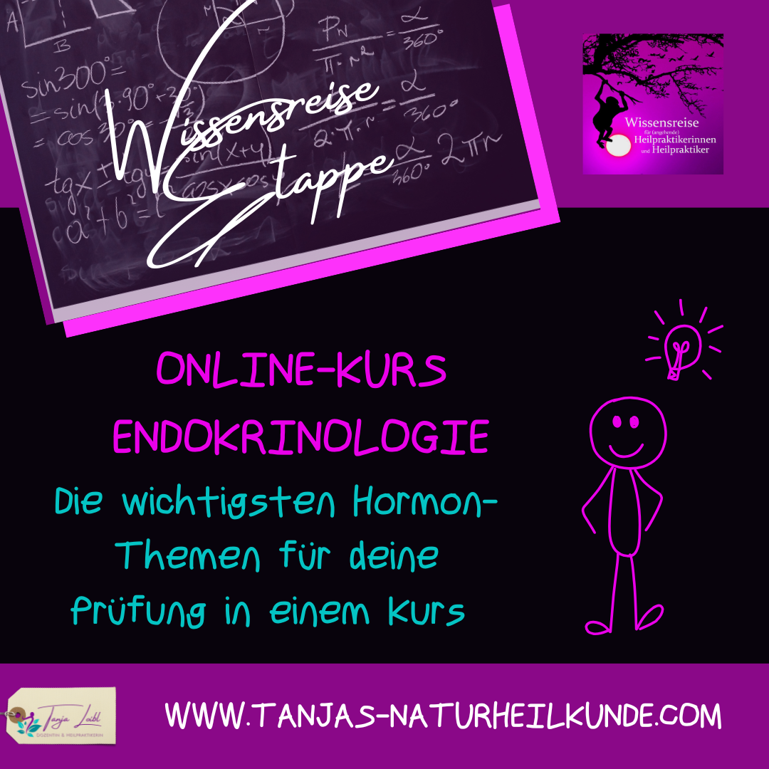 Bezeichnung des Kurses