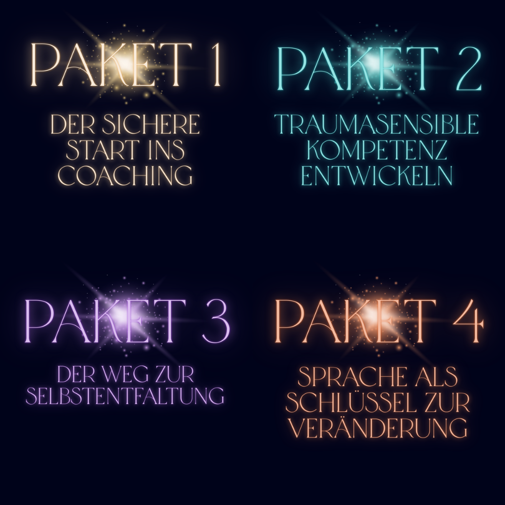 Alle vier Lichter im Gesamtpaket