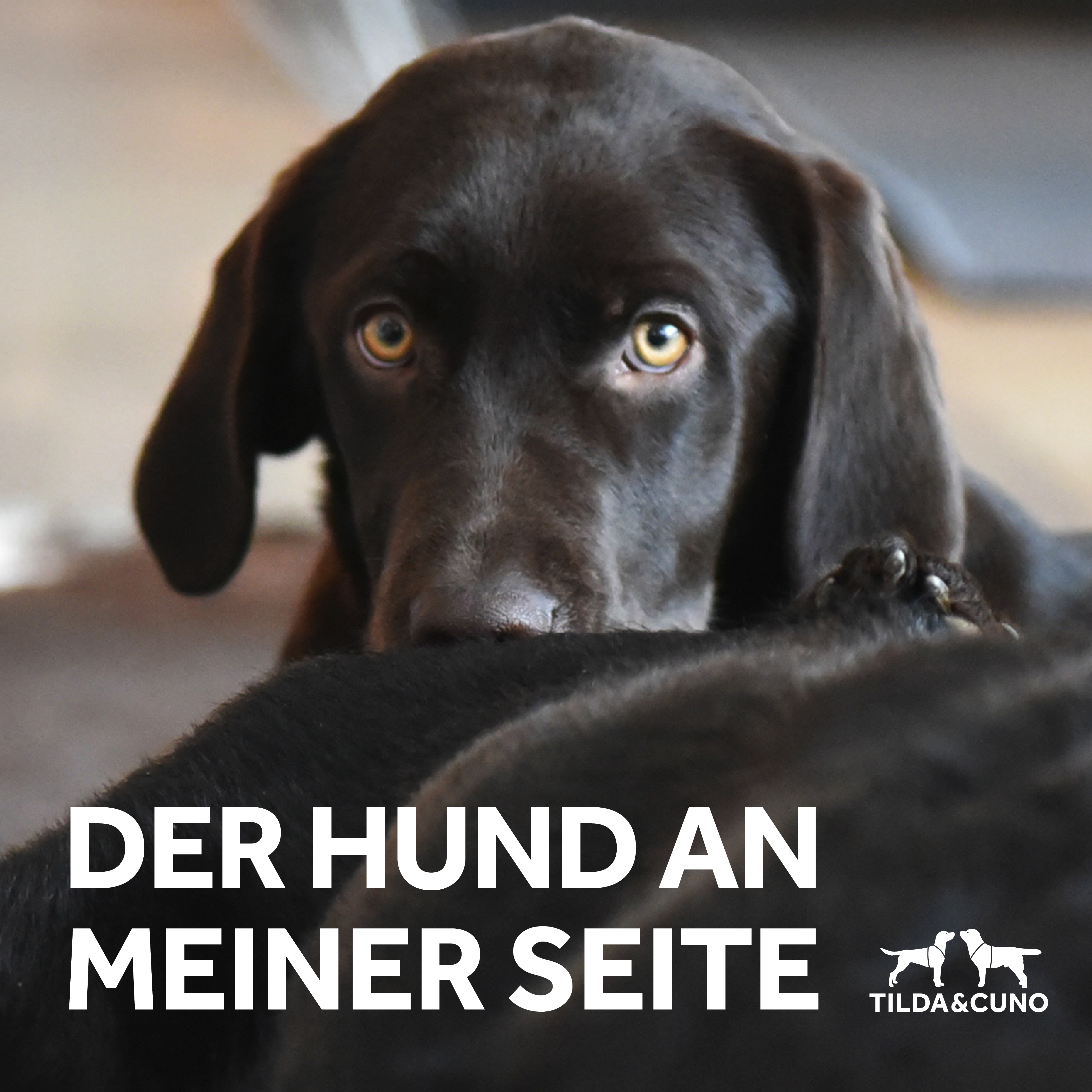 cover_derhundanmeinerseite-4500x4500.png