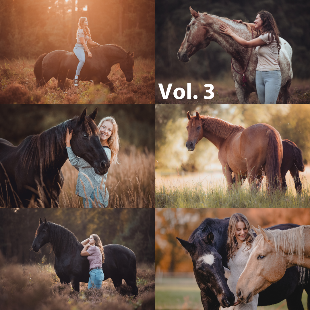 LR Presets Vol 3-1080x1080.png