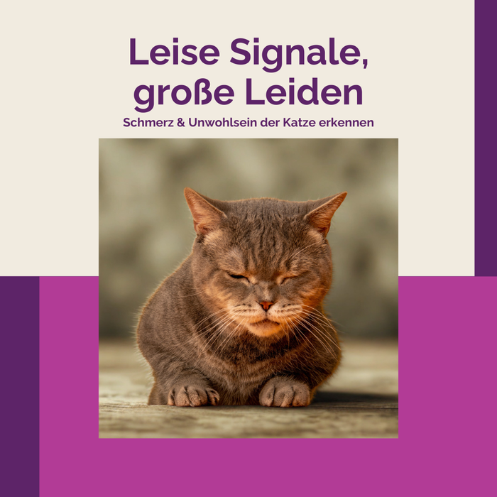 Produktbild Aufzeichnung Schmerz