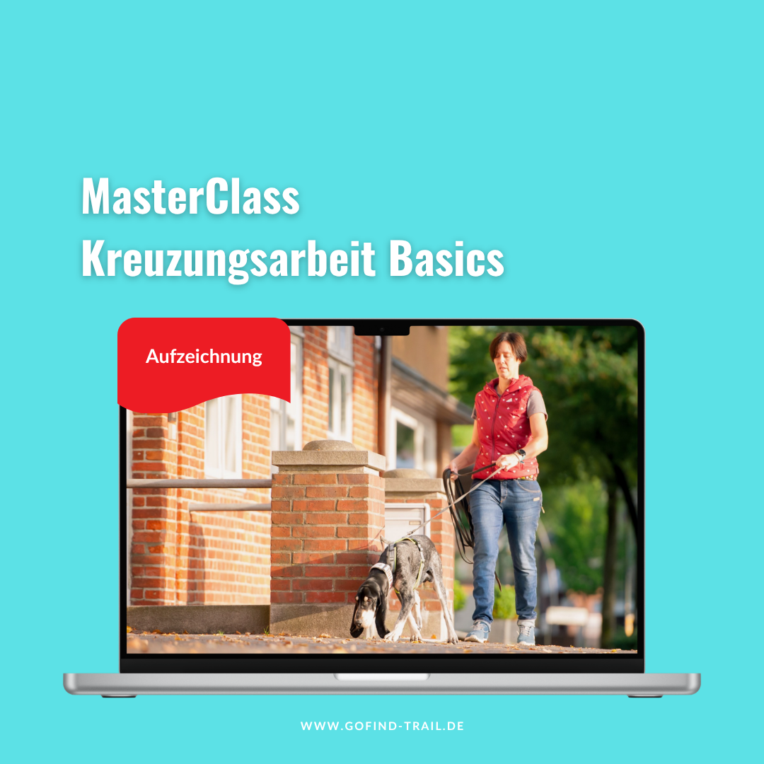 aufzeichnung_kreuzungsarbeit-1080x1080.png