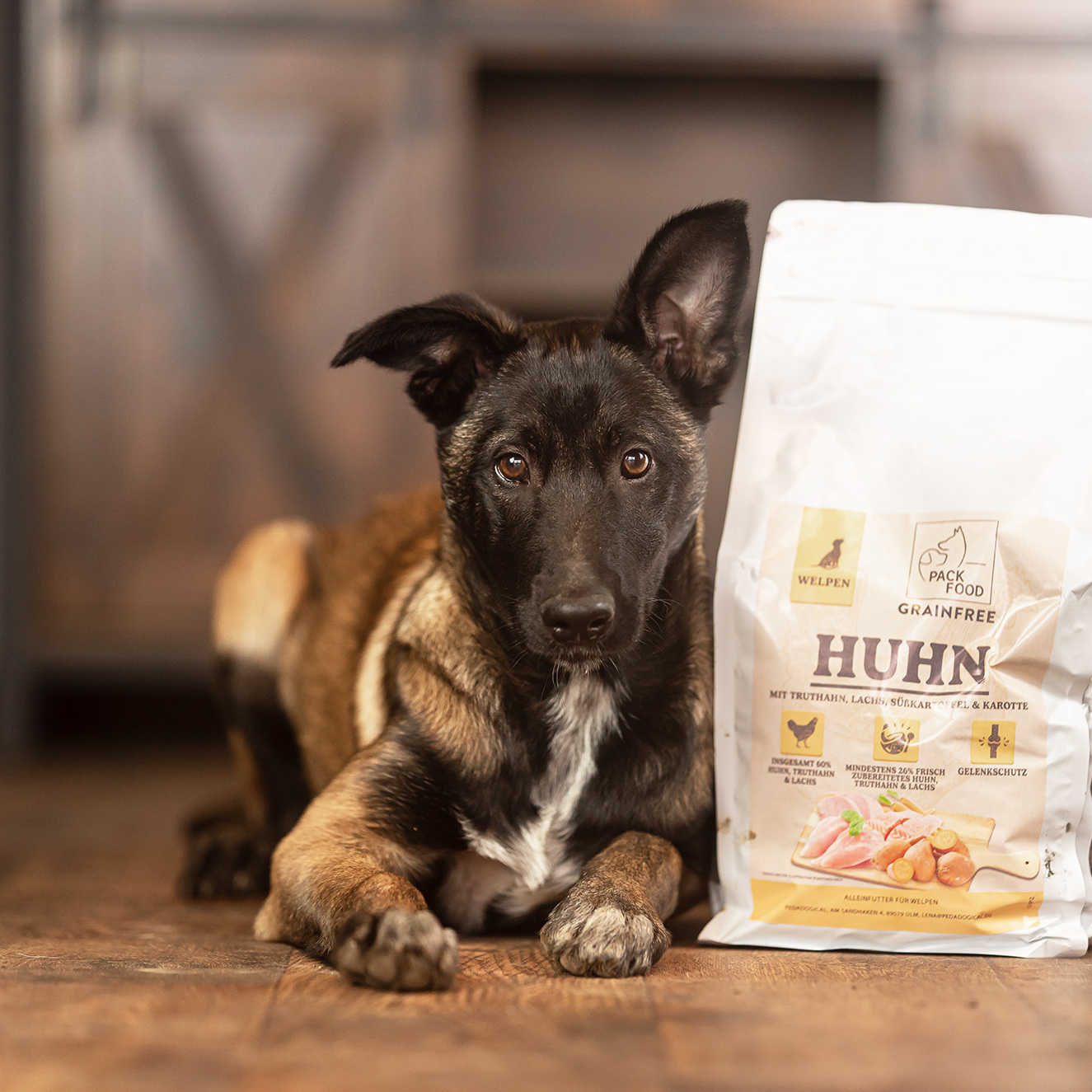 Huhn Welpe2-web-1325x1325.jpg