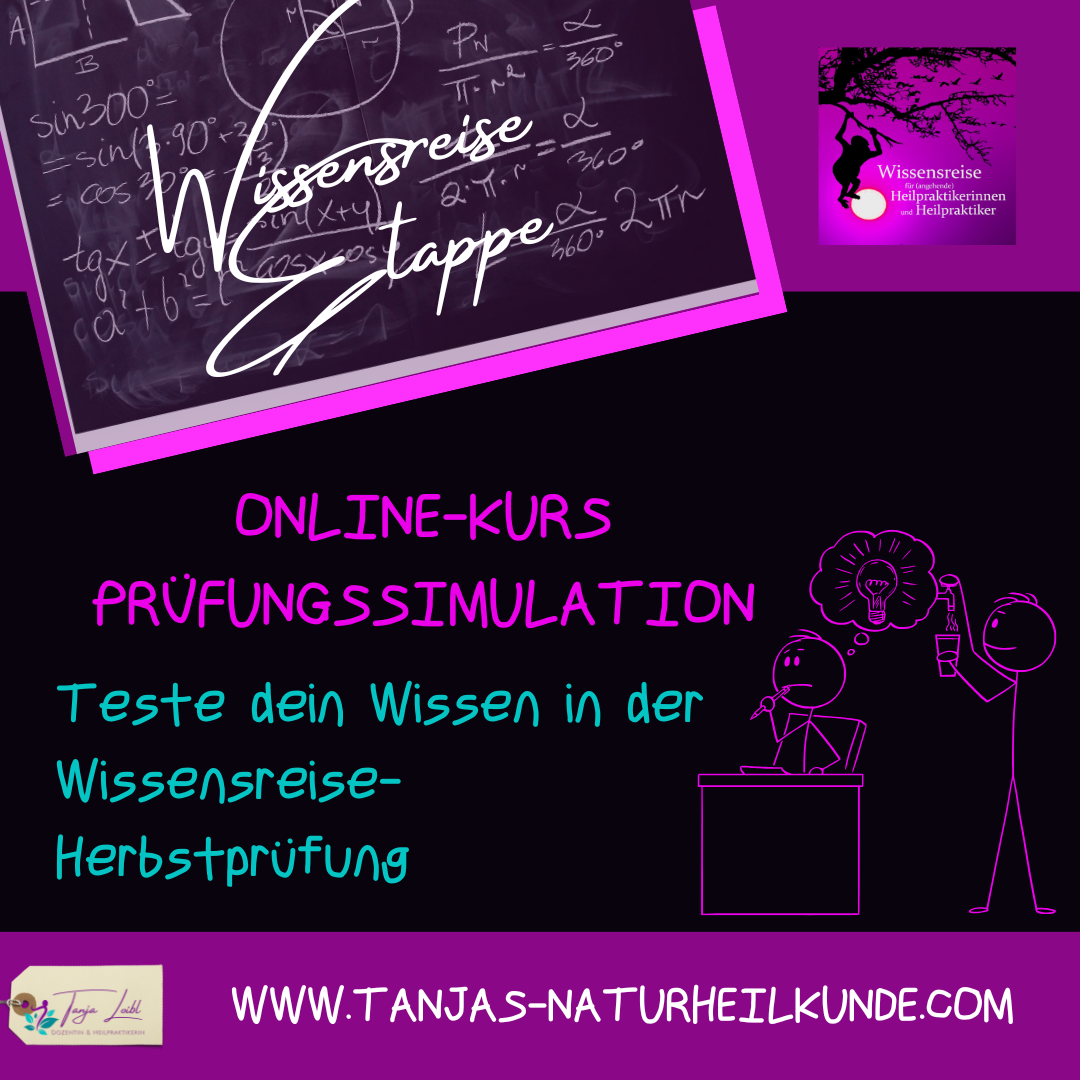 Bild zum Online-Kurs Prüfungssimulation