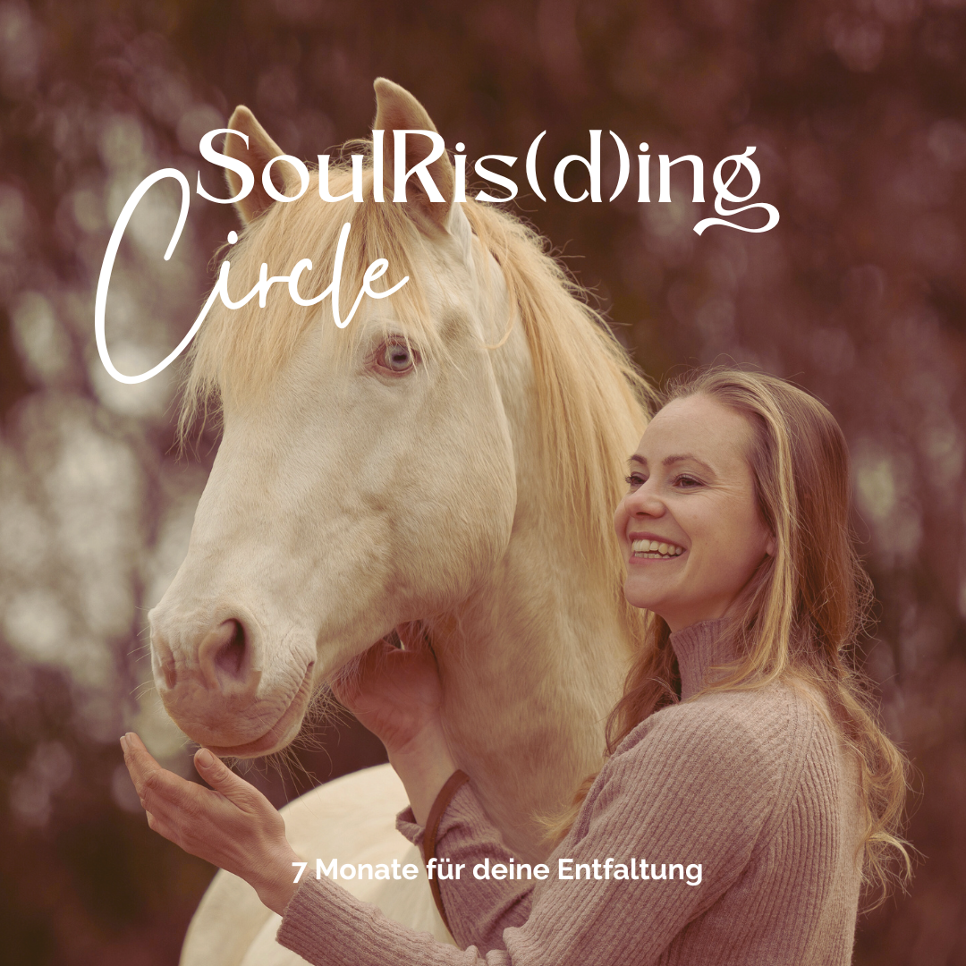 Kopie von Kopie von Kopie von Kopie von Grenzen-1080x1080.png