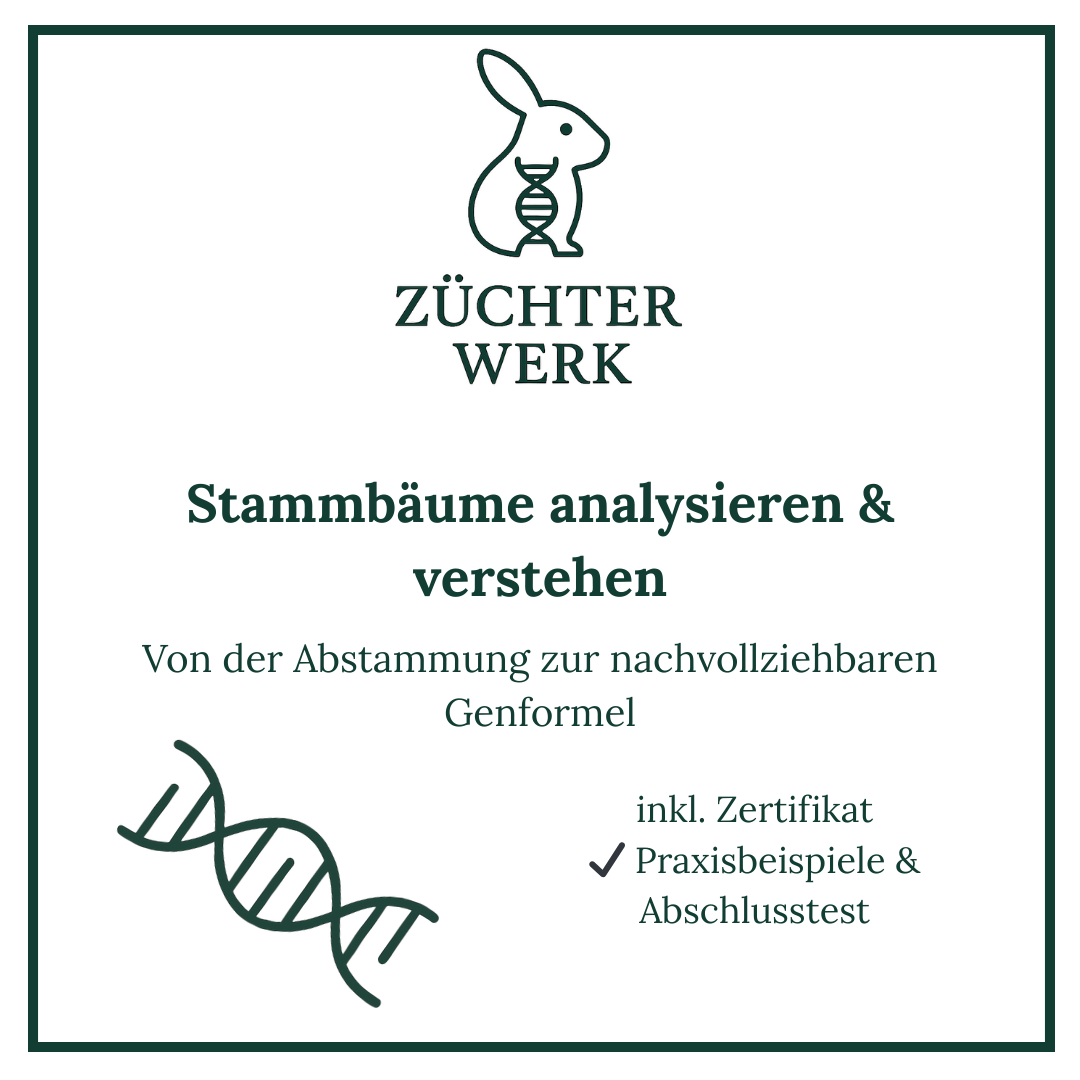 Kopie von Kaninchen-Genetik verstehen & anwenden-1080x1080.png