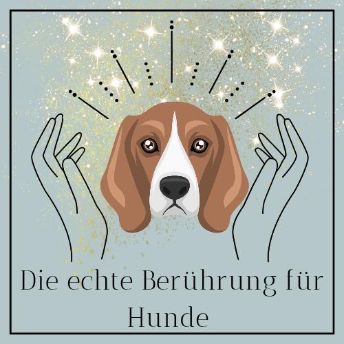 Logotipo amor ilustrado nude_20250923_121326_0000-500x500.png