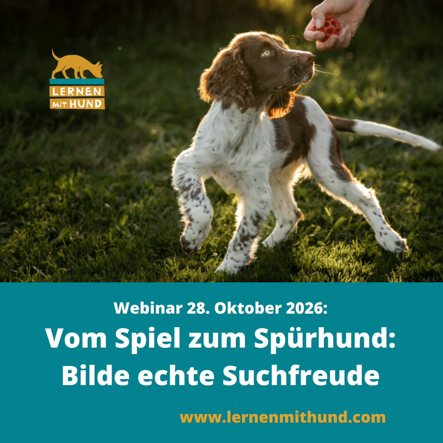 Webinar Vom Spiel zum Spürhund-1500x1500.png