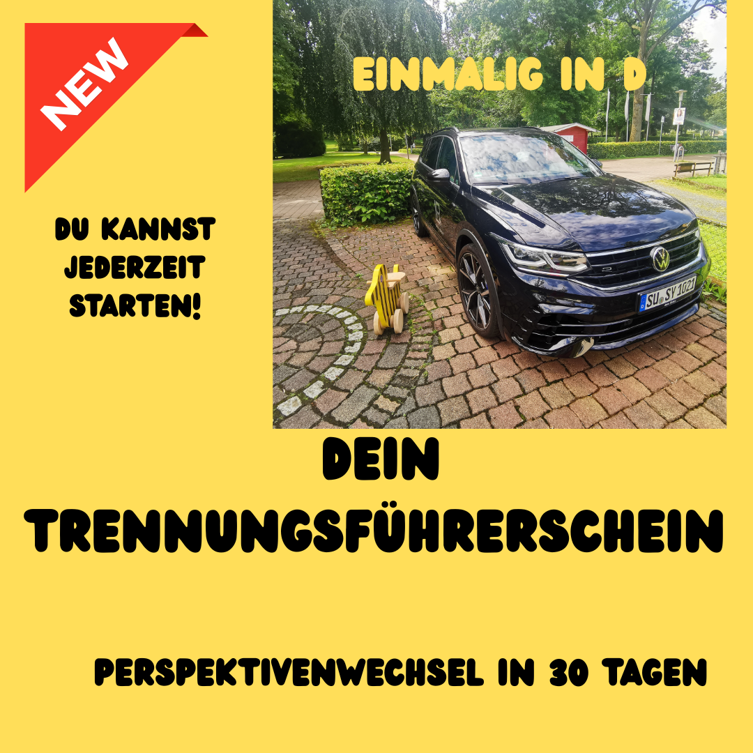 Dein Trennungsführerschein in 30 Tagen (1080 x 1080 px) (5)-1080x1080.png