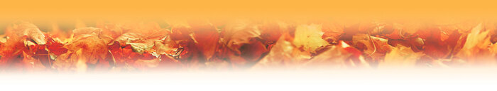loaded_image