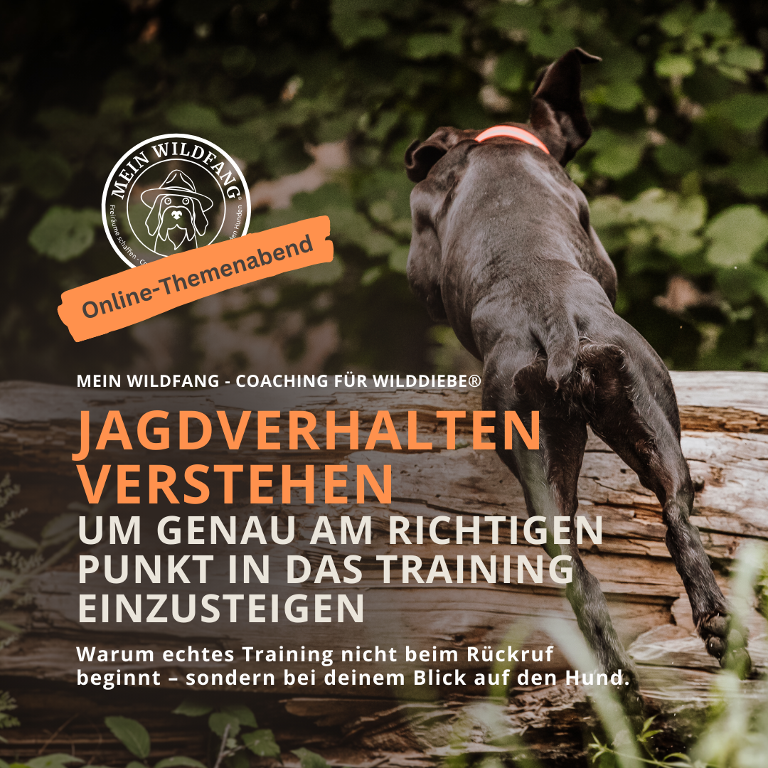 Produktbilder Elopage (28)-1080x1080.png