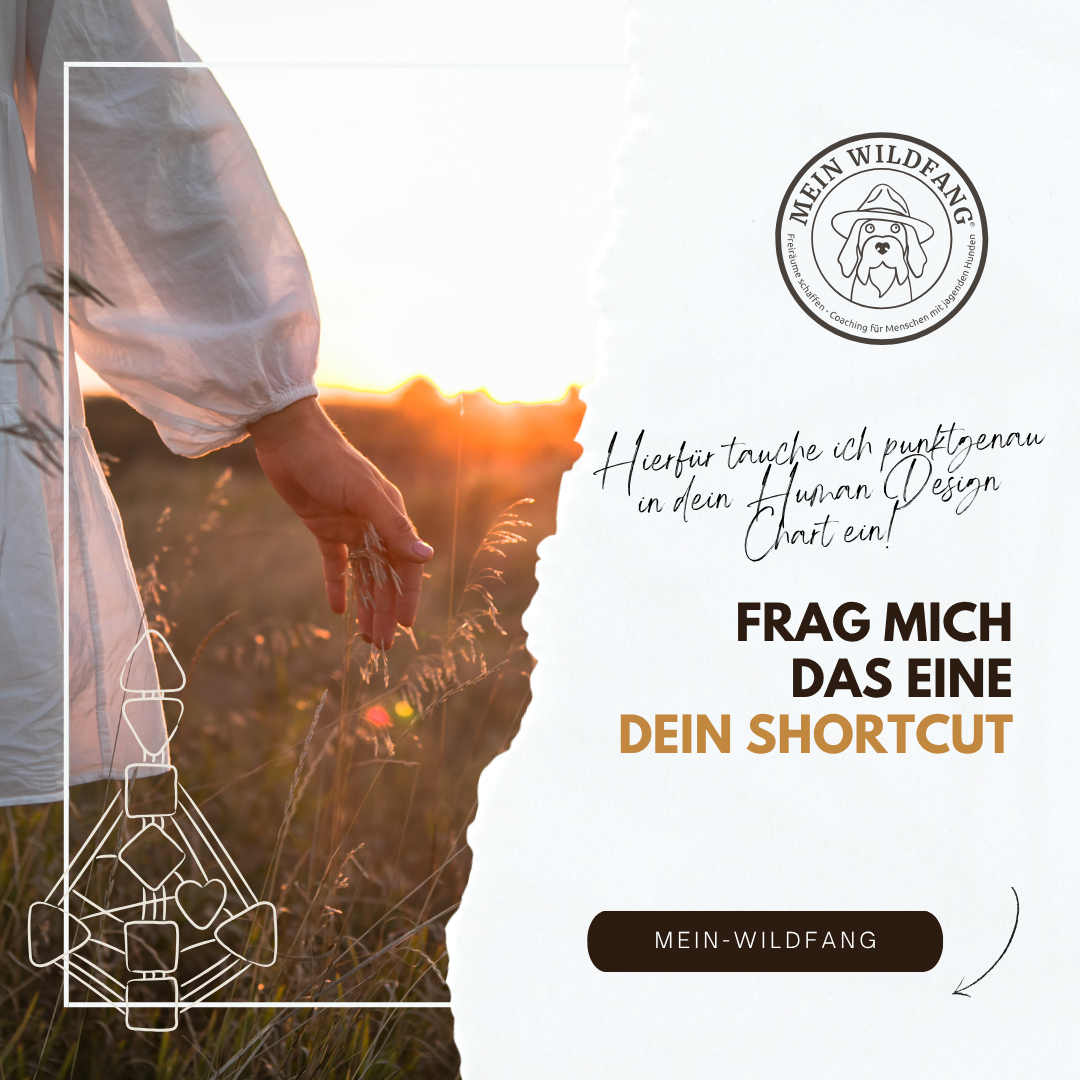 Produktbilder Elopage (26)-1080x1080.png