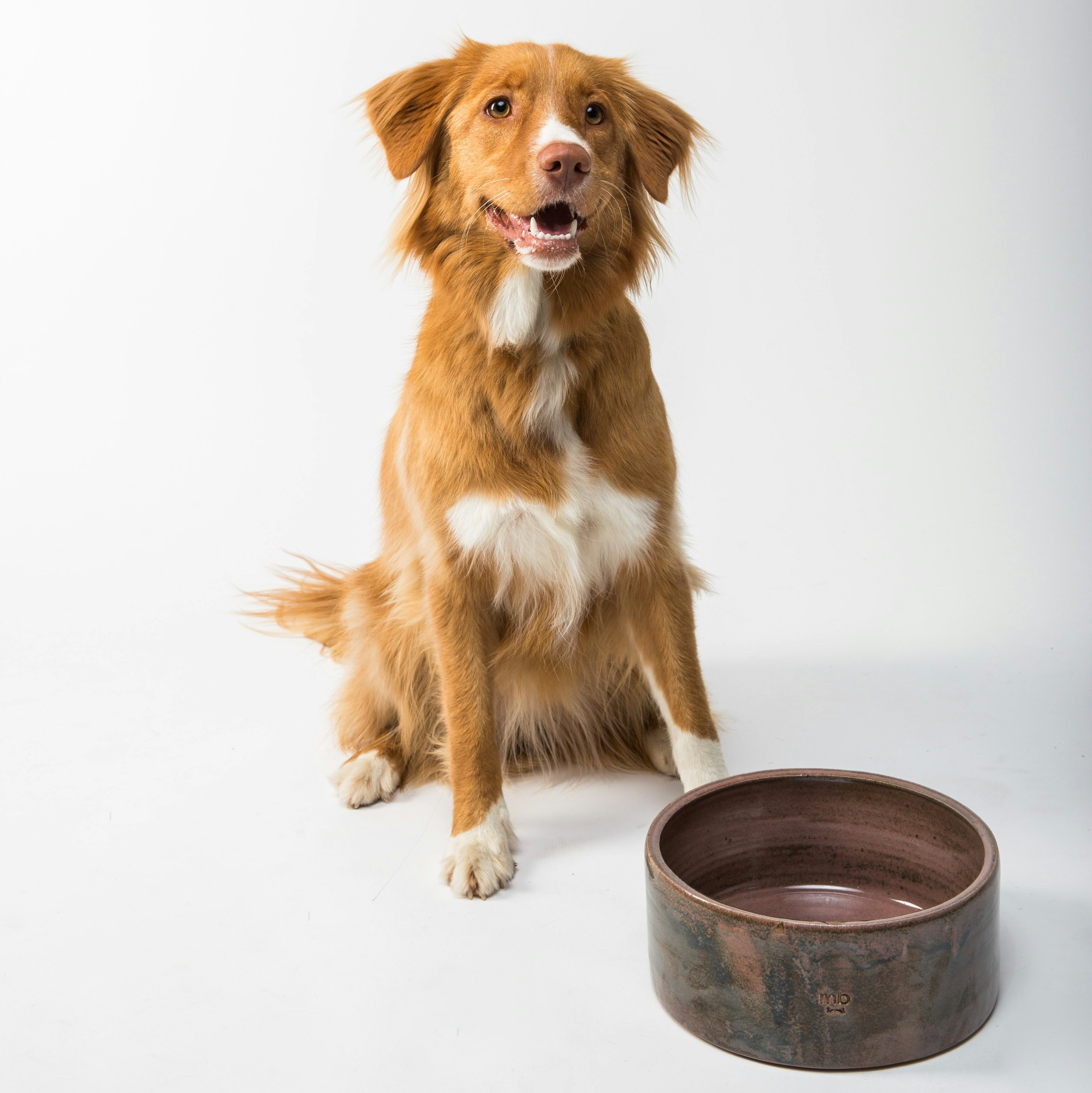 flouffy--dMO9Dm-gkU-unsplash-3653x3653.jpg