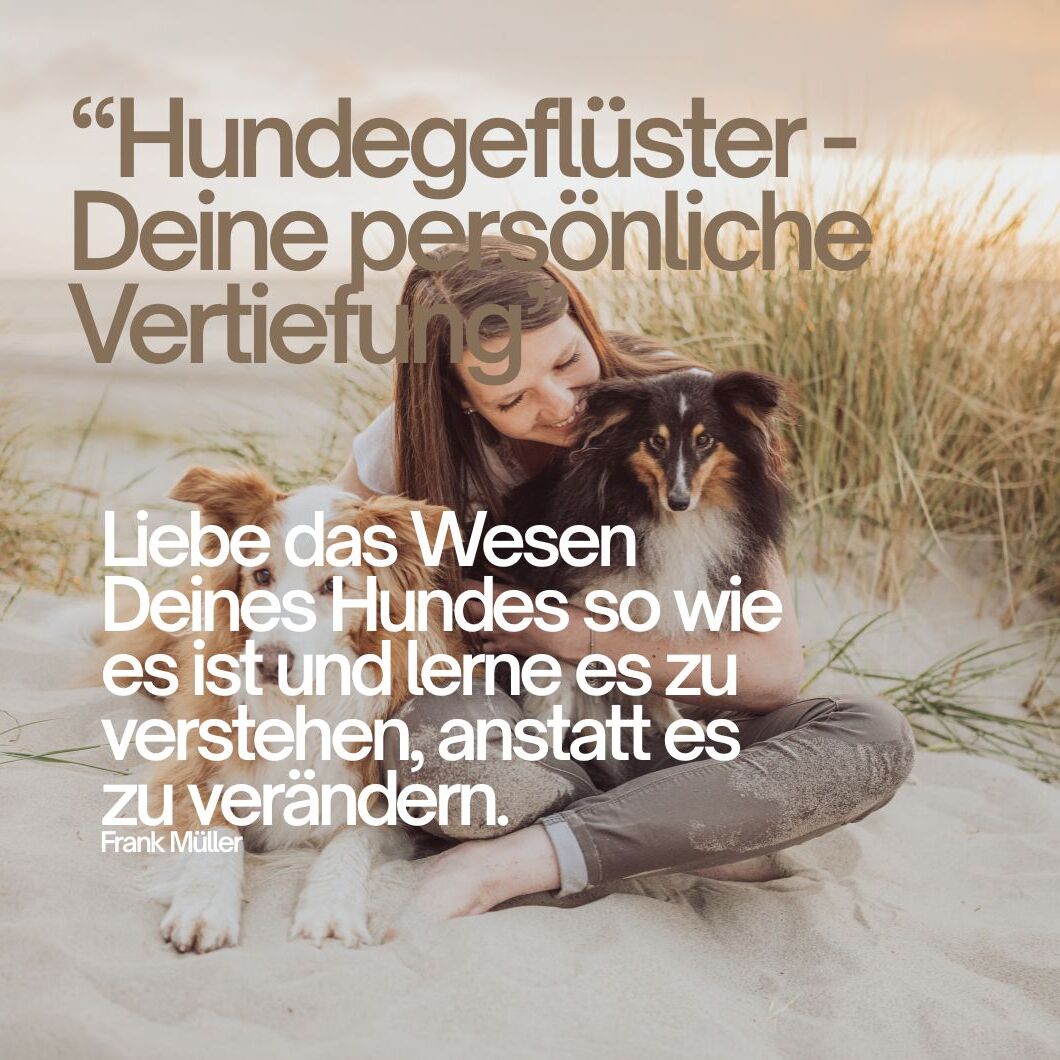 Onlinekurs Tierkommunikation (10 Module) (3)-1060x1060.jpg