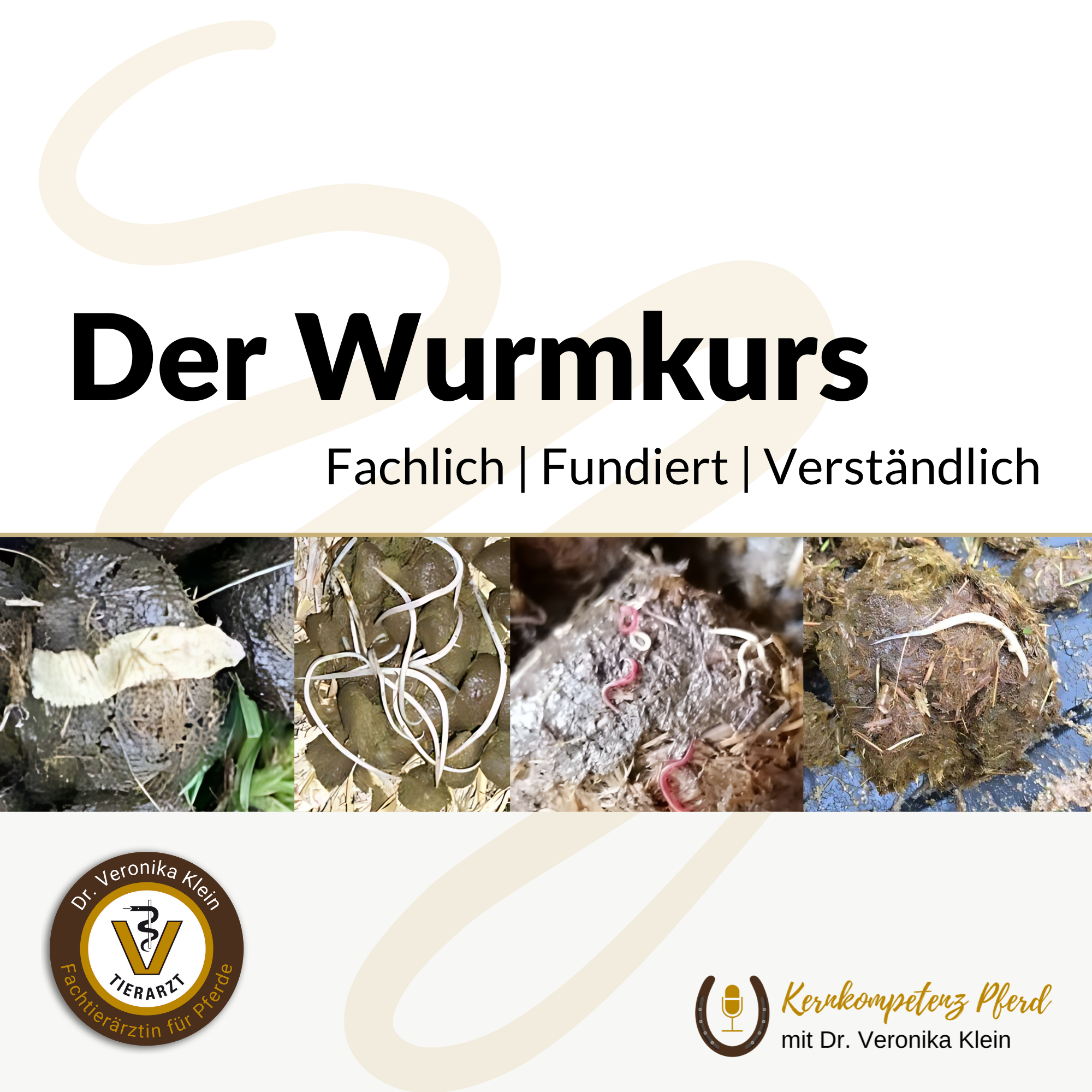 Wurmkurs-2000x2000.png