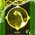 digital-icon