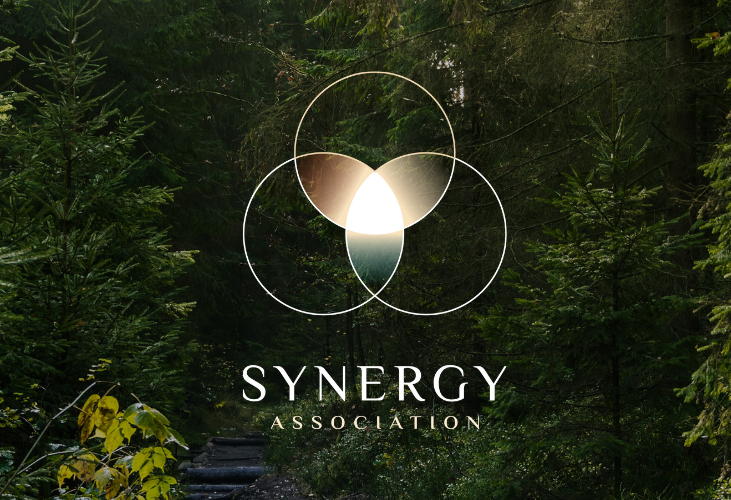 Synergy Banner-731x500.png
