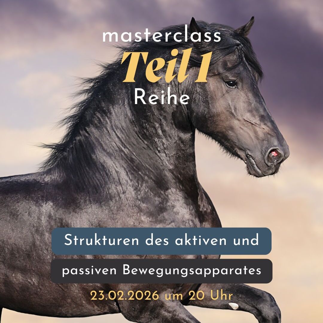 ter (3)-1080x1080.jpg