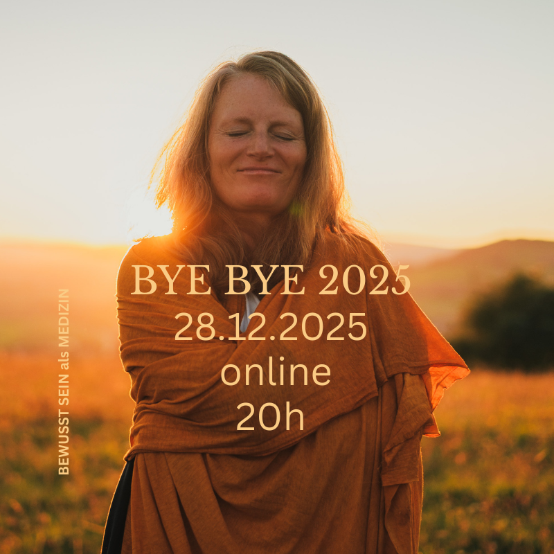 ByeBye 2025-800x800.png
