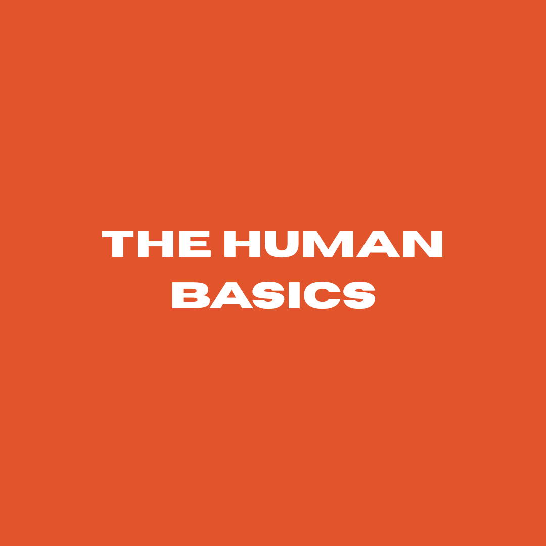 Banner für Memberbereich