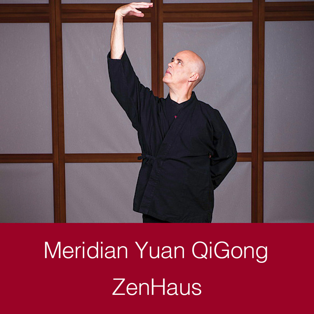 Meridian Yuan QiGong Video