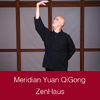 Meridian Yuan QiGong Video