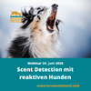 Flyer zum Webinar "Scent Detection mit reaktiven Hunden". Ein Aussie bellt, die Zähne sind zu sehen. 
