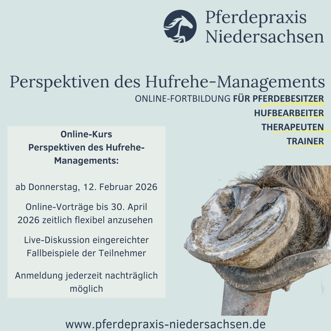 ablefy Besitzer Hufrehe-1080x1080.png