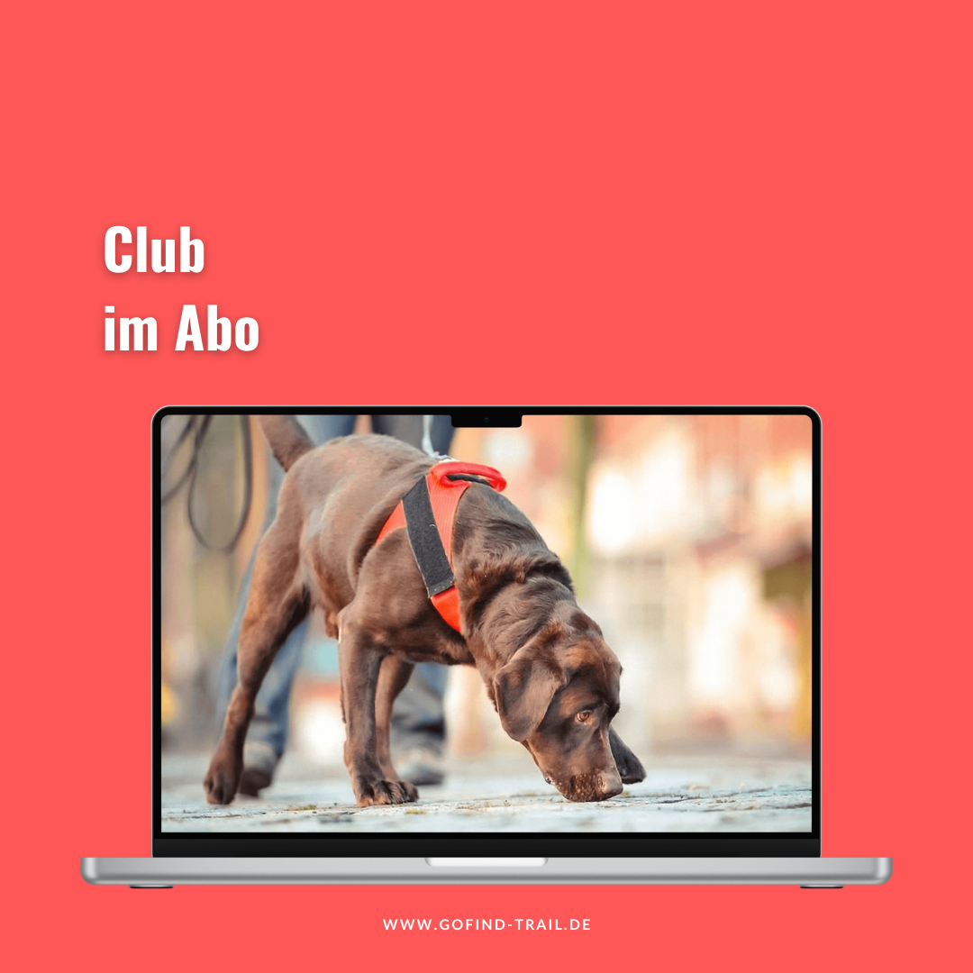 gofind_club_abo-1080x1080.png