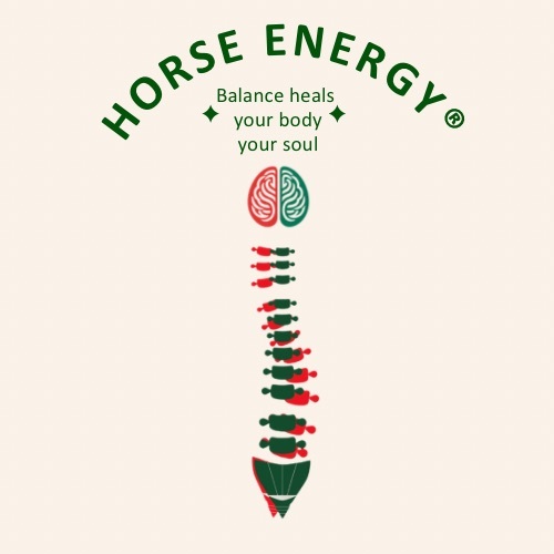 logo wirbelsaeule-500x500.jpg