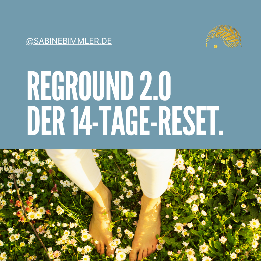 Reground 2.0 Titelbild