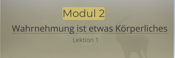 loaded_image