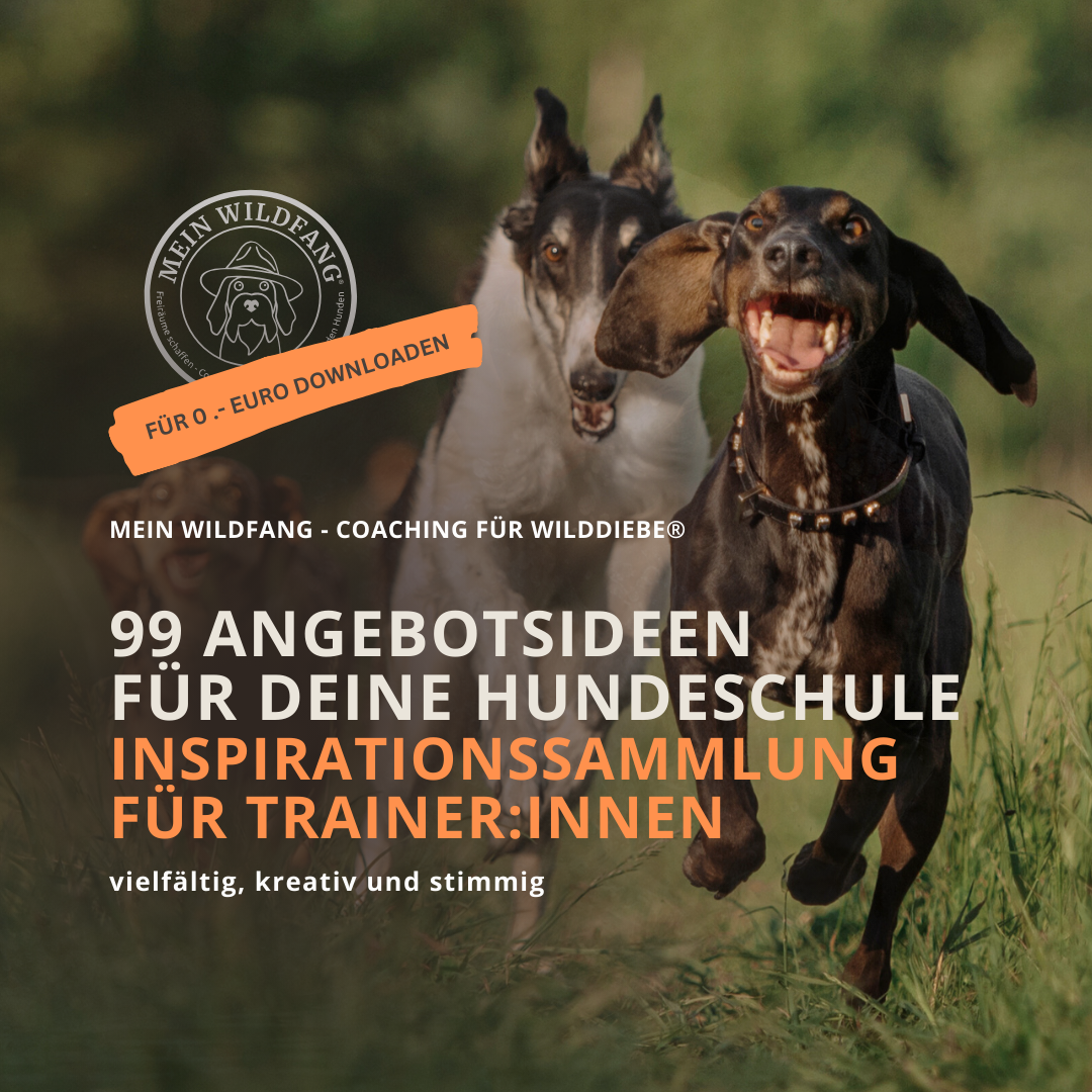 Produktbilder Elopage-1080x1080.png