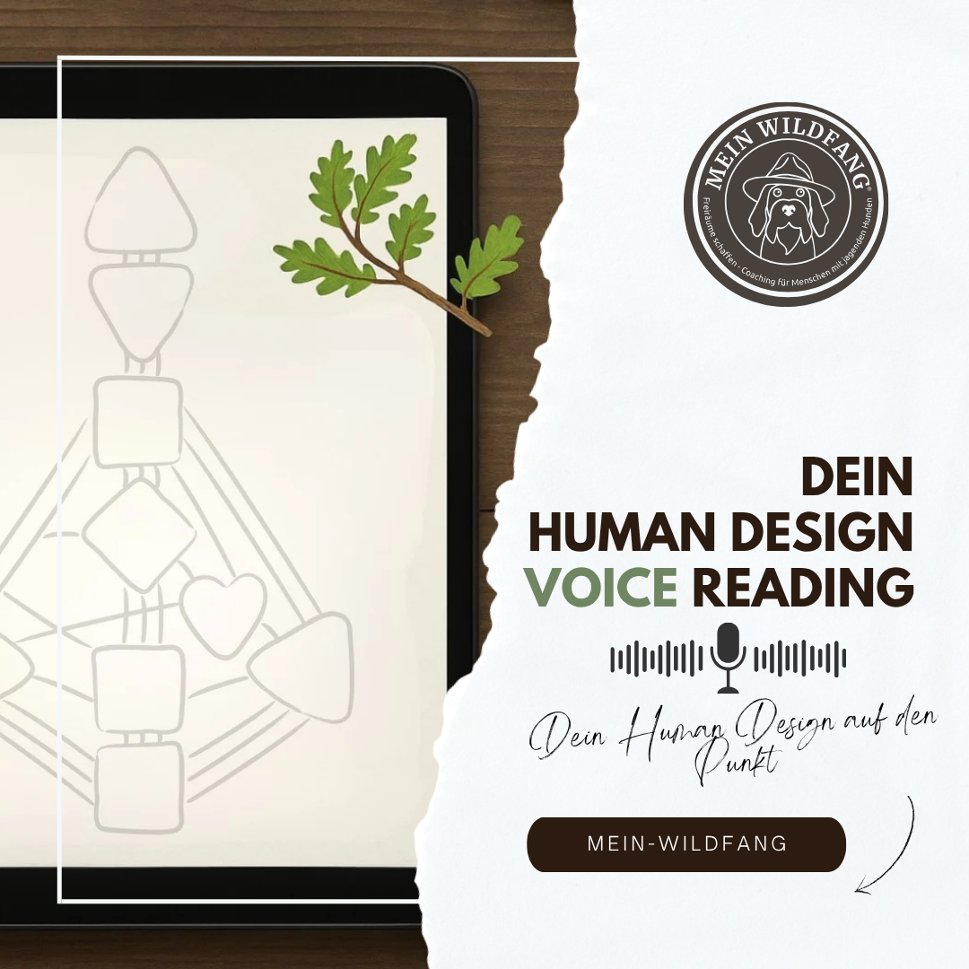 Produktbilder Elopage (7)-1080x1080.png