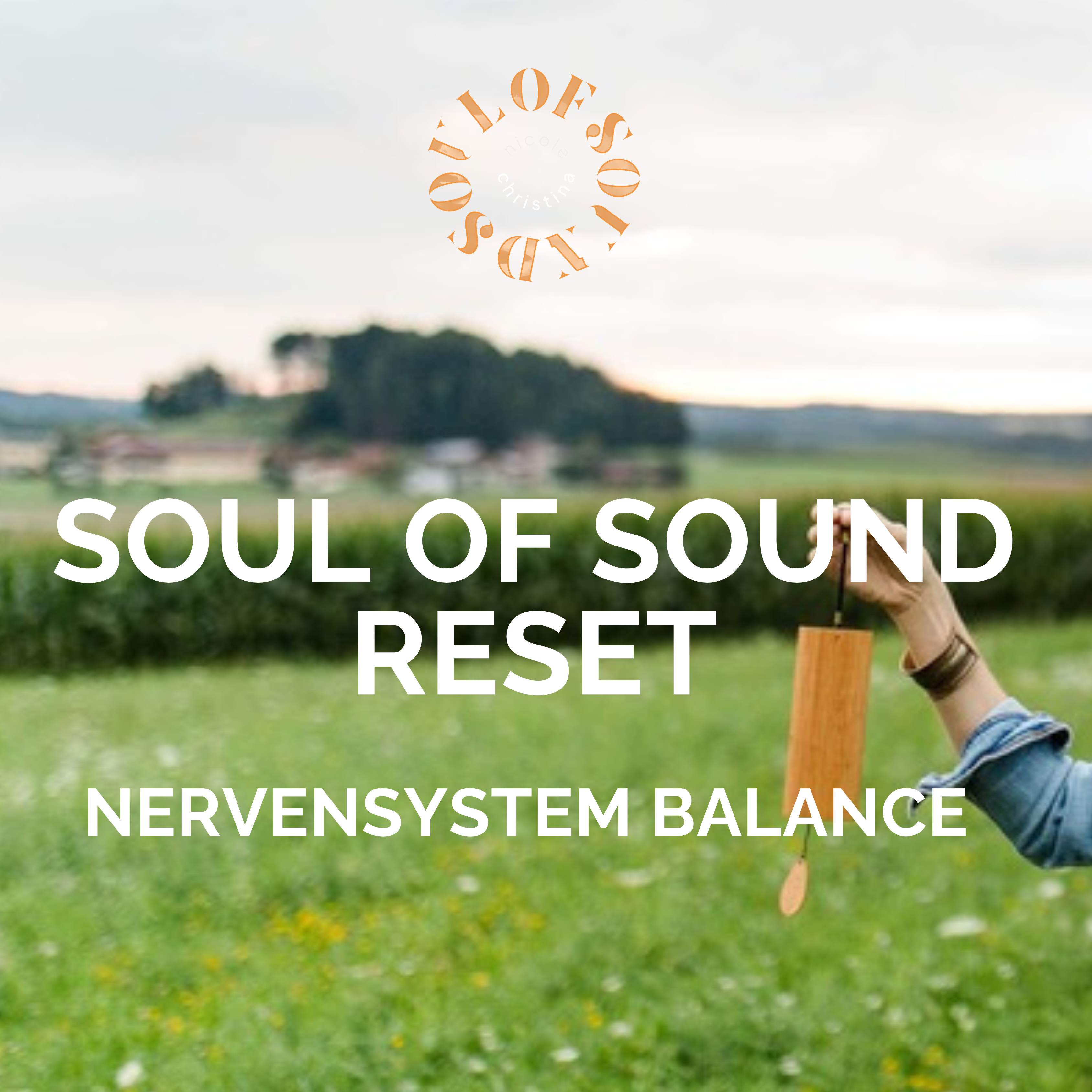 Deine Nervensystem-Balance für mehr Ruhe, Präsenz und Vertrauen im Alltag & Beruf