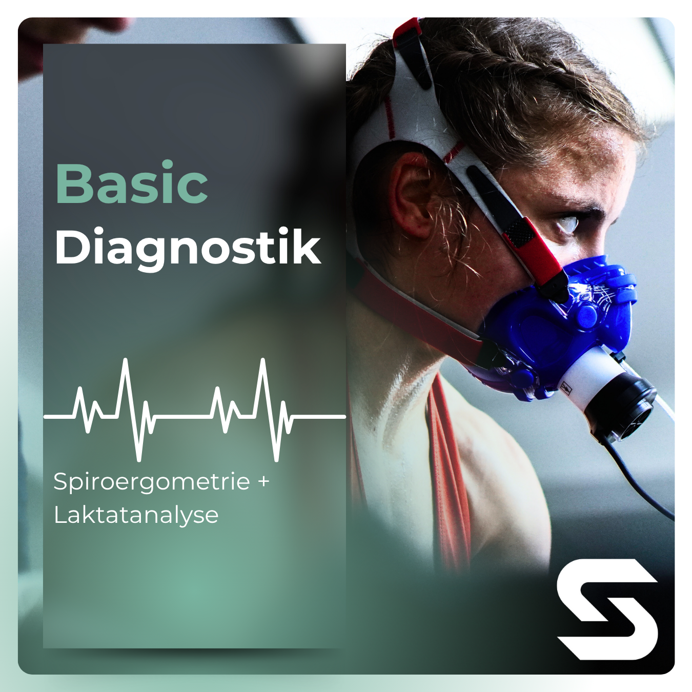 Basic-1350x1350.png